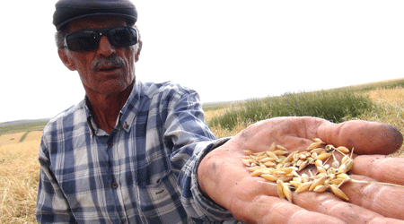 Kars'ta 'Dolu' Ümitleri Boşa Çıkardı!