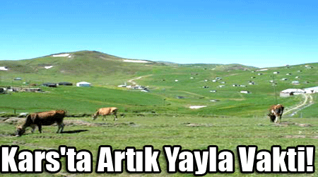 Kars'ta Artık Yayla Vakti!