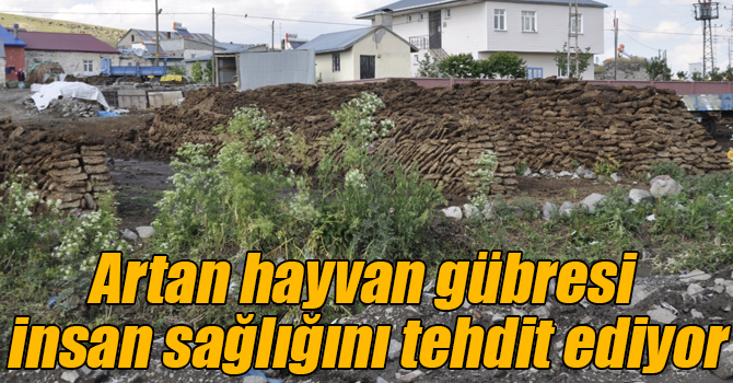 Artan hayvan gübresi insan sağlığını tehdit ediyor