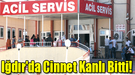 Iğdır'da Cinnet Kanlı Bitti!