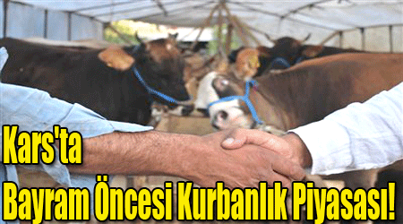 Kars'ta Bayram Öncesi Kurbanlık Piyasası!