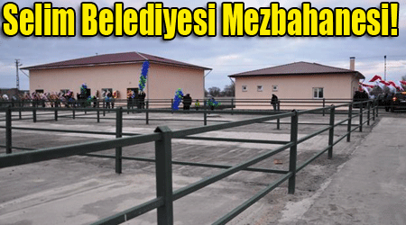 Selim Belediyesi Mezbahanesi!