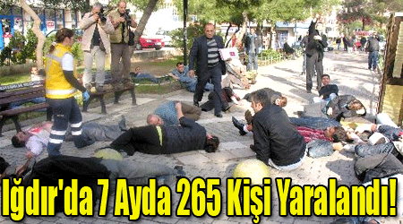 Iğdır'da 7 Ayda 265 Kişi Yaralandı!