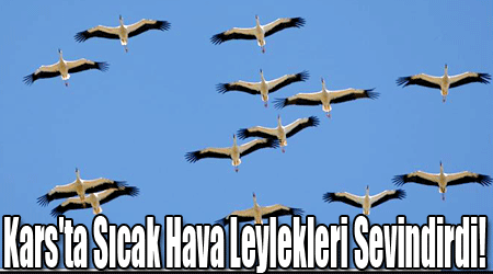 Kars'ta Sıcak Hava Leylekleri Sevindirdi!