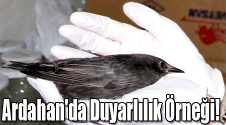 Ardahan'da Duyarlılık Örneği!