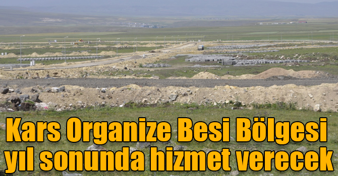 Kars Organize Besi Bölgesi yıl sonunda hizmet verecek