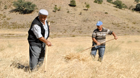 Kars Kuraklıkta İlk 11 İlin İçinde!