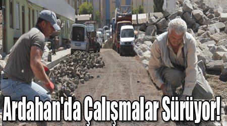 Ardahan'da Çalışmalar Sürüyor!