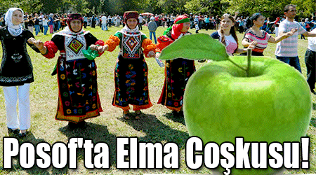 Posof'ta Elma Coşkusu!