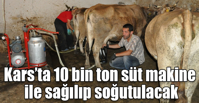 Kars’ta 10 bin ton süt makine ile sağılıp soğutulacak