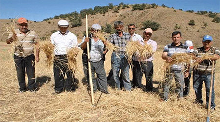 Kars'ta Mağdur Çiftçilere Müjde!
