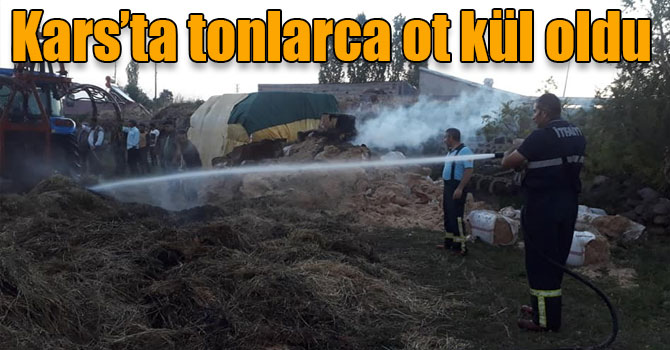 Kars’ta tonlarca ot kül oldu