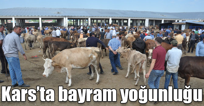 Kars’ta hayvan pazarında bayram yoğunluğu