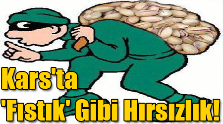 Kars'ta 'Fıstık' Gibi Hırsızlık!