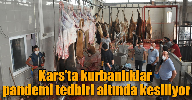 Kars’ta kurbanlıklar pandemi tedbiri altında kesiliyor