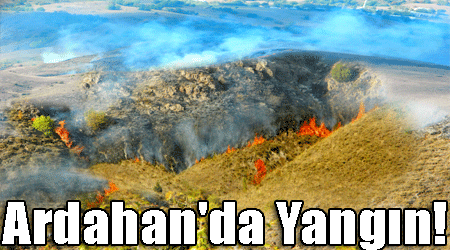 Ardahan'da Yangn!