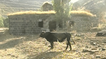 Kars'ta Kurbanlar Tarihle Besleniyor!