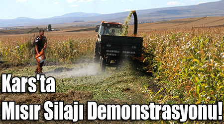 Kars'ta Mısır Silajı Demonstrasyonu!