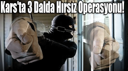 Kars'ta 3 Dalda Hırsız Operasyonu!