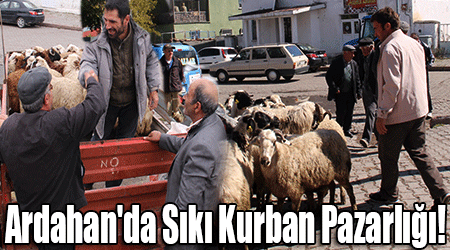 Ardahan'da Sıkı Kurban Pazarlığı!