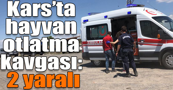 Kars’ta hayvan otlatma kavgası: 2 yaralı