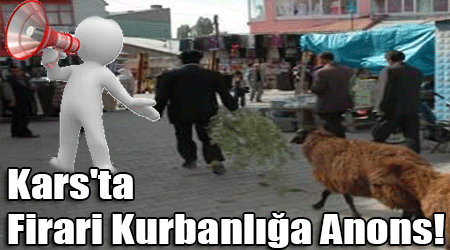Kars'ta Firari Kurbanlığa Anons!
