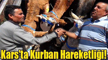 Kars'ta Kurban Hareketliği!