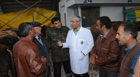 Başkent'te Kurbanlıklara Karslı Vekilden Muayene!