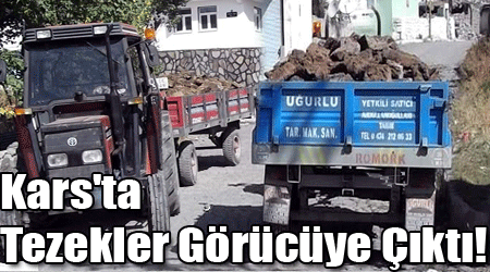 Kars'ta Tezekler Görücüye Çıktı!