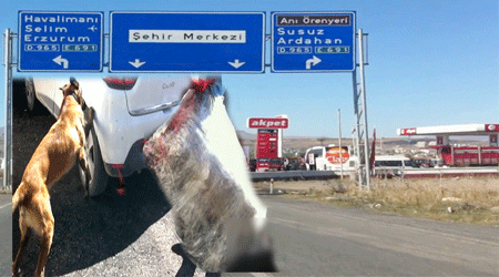 Kars’ta Yüklü Miktarda Esrar Ele Geçirildi!