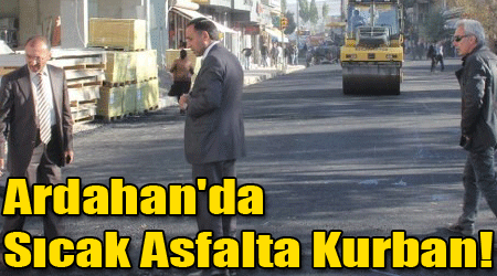 Ardahan'da Sıcak Asfalta Kurban!