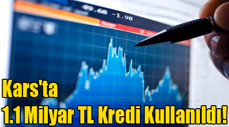 Kars'ta 1.1 Milyar TL Kredi Kullanıldı!