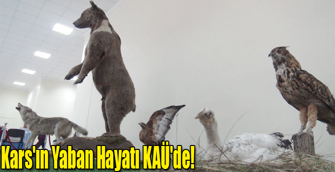 Kars'ın Yaban Hayatı KAÜ'de!