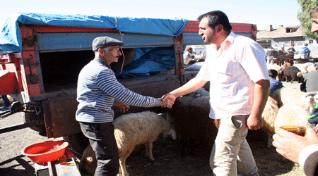 Kars'ta Kurban Pazarı!