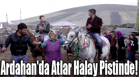 Ardahan'da Atlar Halay Pistinde!