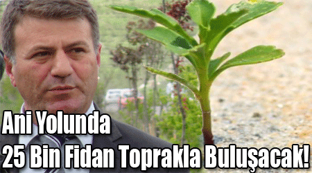 Ani Yolunda 25 Bin Fidan Toprakla Buluşacak!