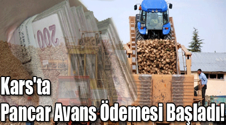 Kars'ta Pancar Avans Ödemesi Başladı!