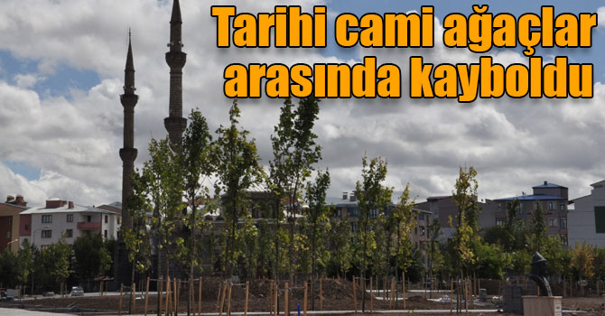 Tarihi Fethiye Cami ağaçlar arasında kayboldu