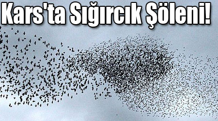 Kars'ta Sığırcık Şöleni!