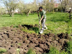 Bahçeler bostan oluyor