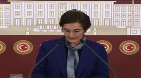 BDP Kars Milletvekili Birtane'den Araştırma Önergesi!
