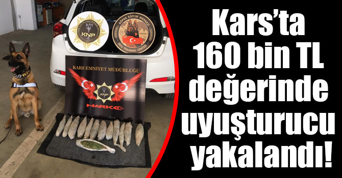 Kars’ta 160 bin TL değerinde uyuşturucu yakalandı!