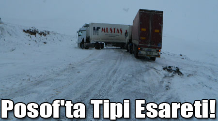 Posof'ta Tipi Esareti!