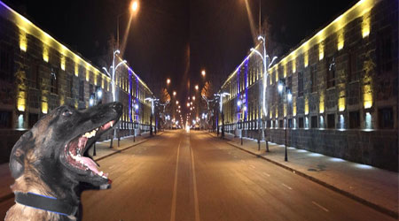 Kars'ta Operasyon; 10 Kişi Tutuklandı!