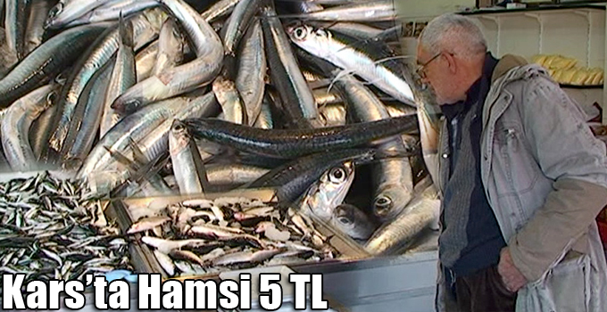 Kars’ta Hamsi 5 TL