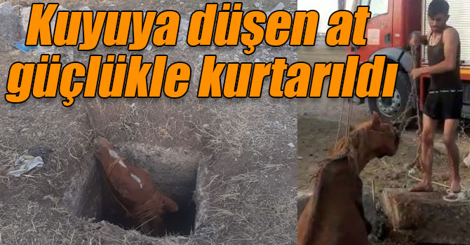 Kars’ta at kurtarma operasyonu