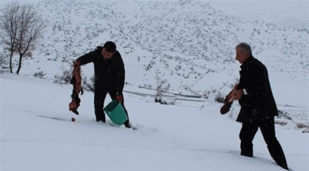 Kars’ta Doğanın Mağdurları Unutulmadı!