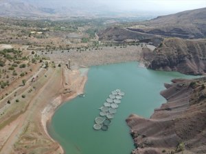 Artan ekili araziler ve kuraklık nedeniyle Göyne Barajı'nın suyu erken bitti
