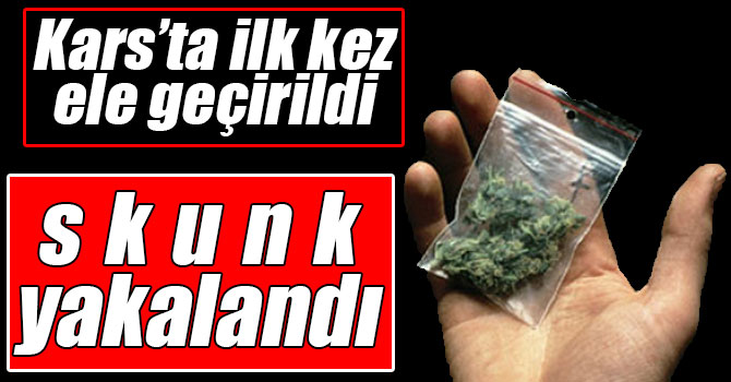 Kars’ta bir ilk! Polis ekipleri skunk yakaladı