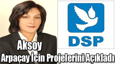 Aksoy Arpaçay İçin Projelerini Açıkladı